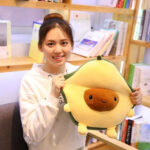 Jouet en peluche avocat Kawaii, apaisant et adorable