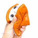 Variété de Squishy Biscuit aux couleurs attrayantes