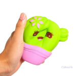 Cactus squishy coloré, parfait pour les collectionneurs