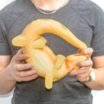 Doux squishy géant en forme de dinosaure, amusant et ludique